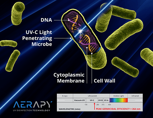 Does UV Light Kill Bacteria & Virus in Water? - ULTRAAQUA