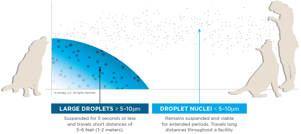 A diagram illustrating the distance that aerosolized pathogens can travel in a veterinary clinic