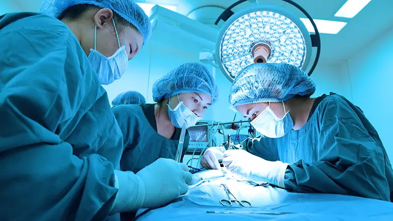 Masked veterinarians control infection by maintaining a sterile and clean environment during a procedure in a surgical suite.